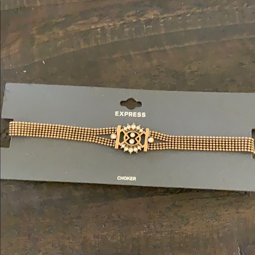 Beautiful Express Choker